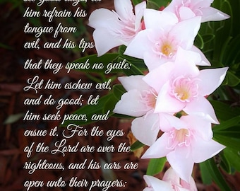 1 Peter 3:10-12 KJV - the Lord hears the prayers of the righteous - scripture art -select a size photo with free shipping