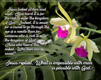 possible with God - orchid Photo with Scripture - luke 18 24-27 NIV with free shipping