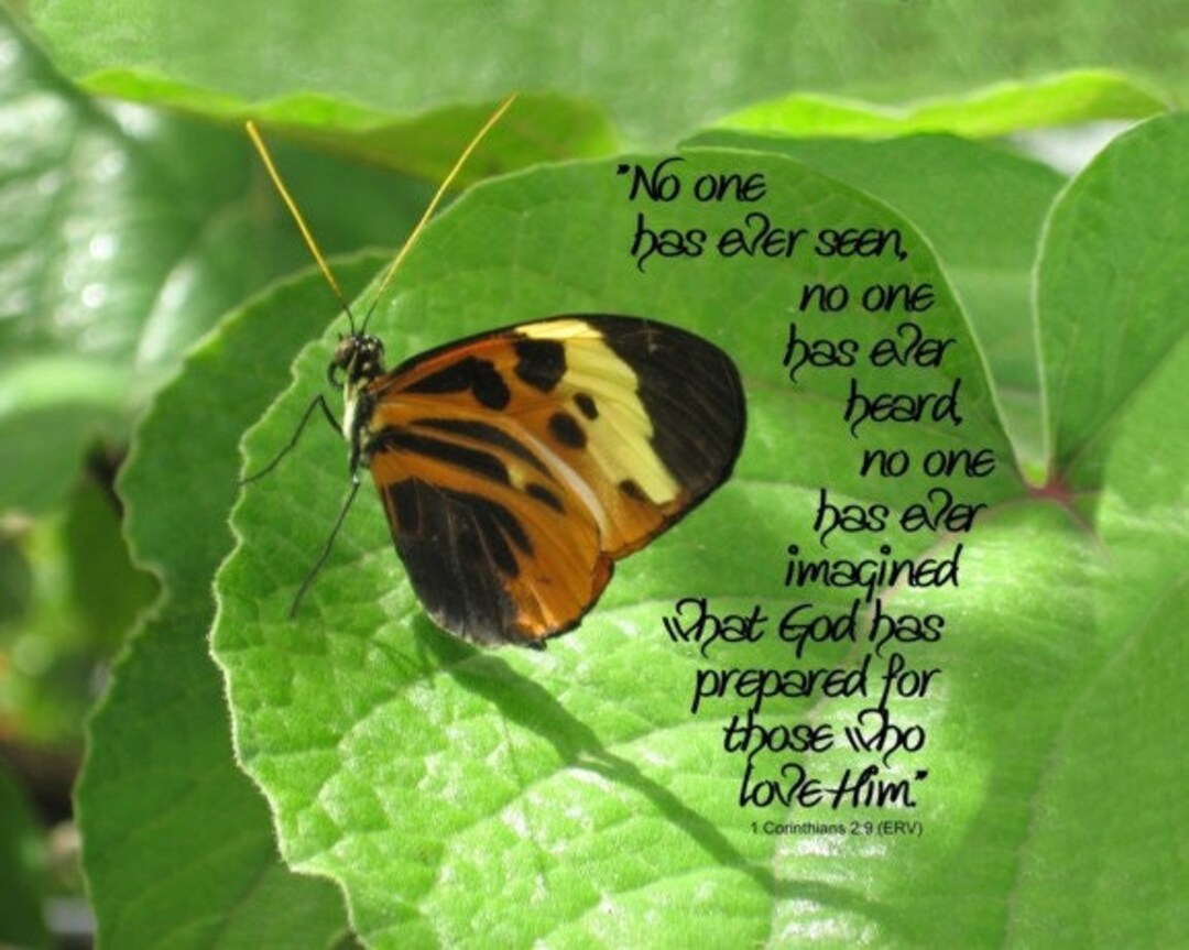 No Eye Has Seen Butterfly Scripture Art 1 Corinthians 29
