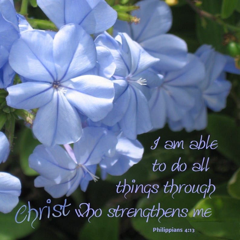 Square Plumbago Photo with Scripture I can do all things image 1