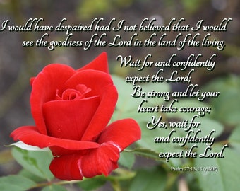 Wait for God - Scripture Art - Psalm 27:13-14 - Red Rose select a size photo with free shipping