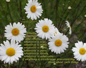 Think - Philippians 4:8 NIV - white daisies Scripture art, pick your size, free shipping