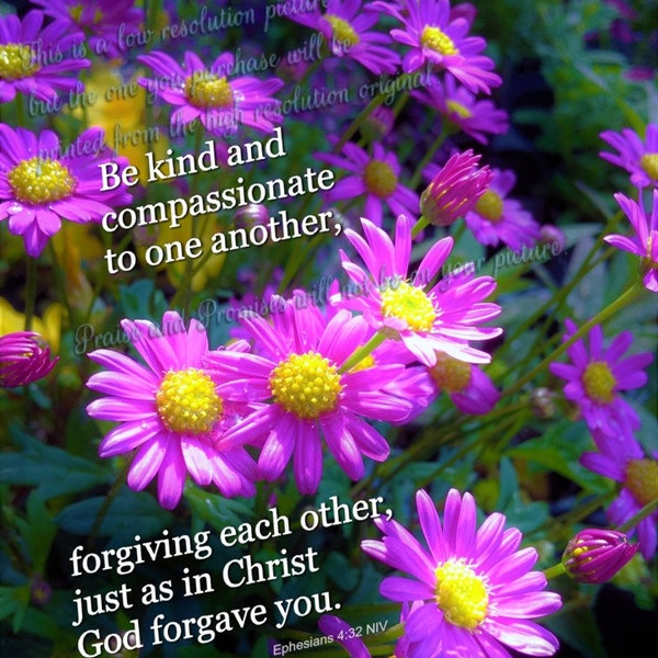 Be kind, compassionate and forgiving - Daisys Scripture art photo - free shipping, mother's day gift, housewarming gift, friend blessing