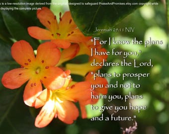 God plans to give you hope - Jeremiah 29:11 - Scripture Art Orange Flower photo - select a size photo with free shipping