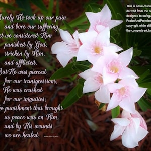 Isaiah 53:4-5 (NIV) By His wounds we are healed - scripture art -select a size photo with free shipping