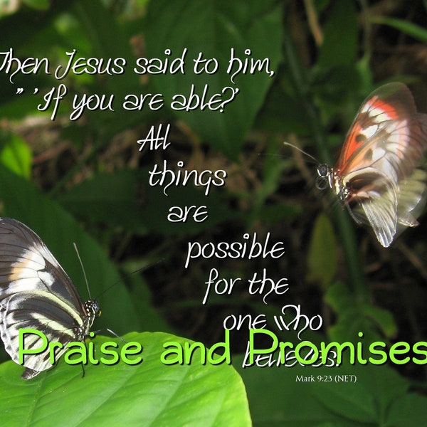 All things are possible Mark 9:23 - Butterfly Friends Scripture Art,  pick your size, free shipping