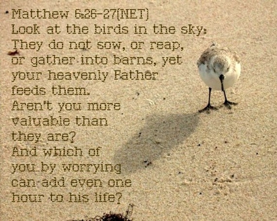 bible verse that says do not worry