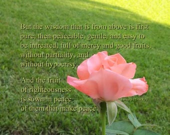 Pure Wisdom From Above - Rose Scripture Art - James 3:17-18 (KJV)  select a size photo with free shipping