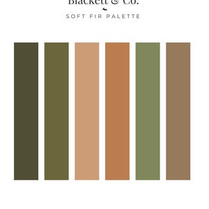 Könnte beinhalten: Eine Farbpalettenkarte mit dem Titel Blackett & Co. SOFT FIR PALETTE, die sechs vertikale rechteckige Farbfelder in den Tönen Dunkeloliv, gedämpftes Salbei, sanftes Pfirsich, warmes Terrakotta, Moosgrün und Hellbraun zeigt, mit dem Text Blackett & Co. Design.