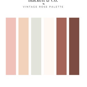 以下が含まれることがあります： Blackett & Co. VINTAGE ROSE PALETTEというタイトルのカラーパレット。ライトピンク、ピーチ、ペールセージグリーン、オフホワイト、テラコッタ、ダークブラウンの6つの垂直な長方形のカラーチップが並び、下部にはBlackett & Co. Designと記載されています。