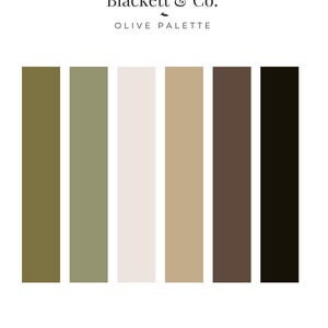 May include: A colour palette chart titled Blackett & Co. OLIVE PALETTE featuring six vertical rectangular swatches in shades of dark olive, sage green, off-white, tan, dark brown, and black, with the text Blackett & Co. Design at the bottom.