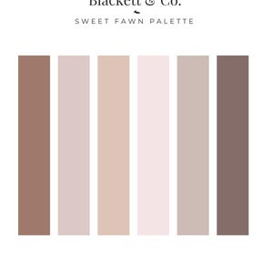 Op de afbeelding: Een kleurenpaletgrafiek getiteld Blackett & Co. SWEET FAWN PALETTE met zes verticale rechthoekige stalen in verschillende tinten bruin, beige en zachtroze. In de rechterbenedenhoek staat de tekst Blackett & Co. Design.