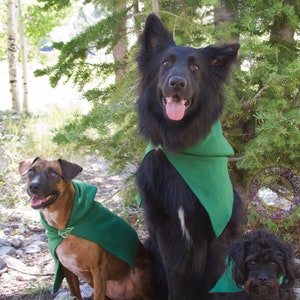 Lord of the Rings Inspired Pet Hoods and Capes.