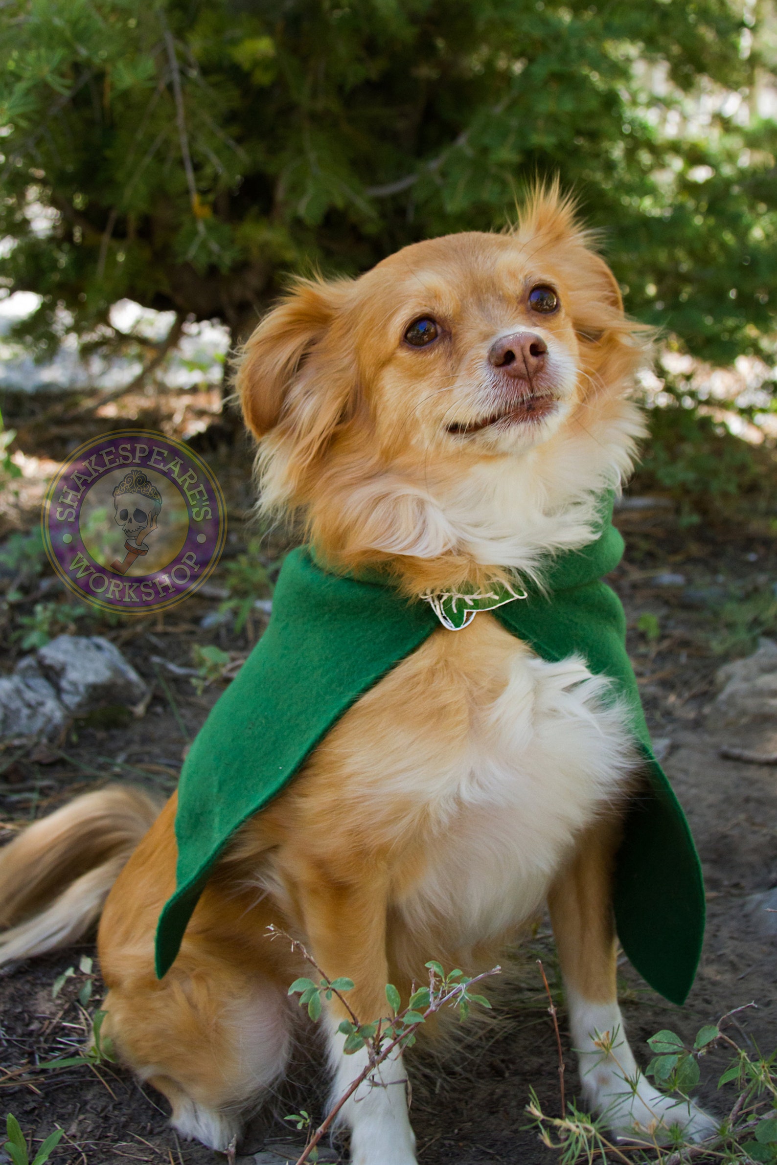 Lord of the Rings Inspired Pet Hoods and Capes. Etsy