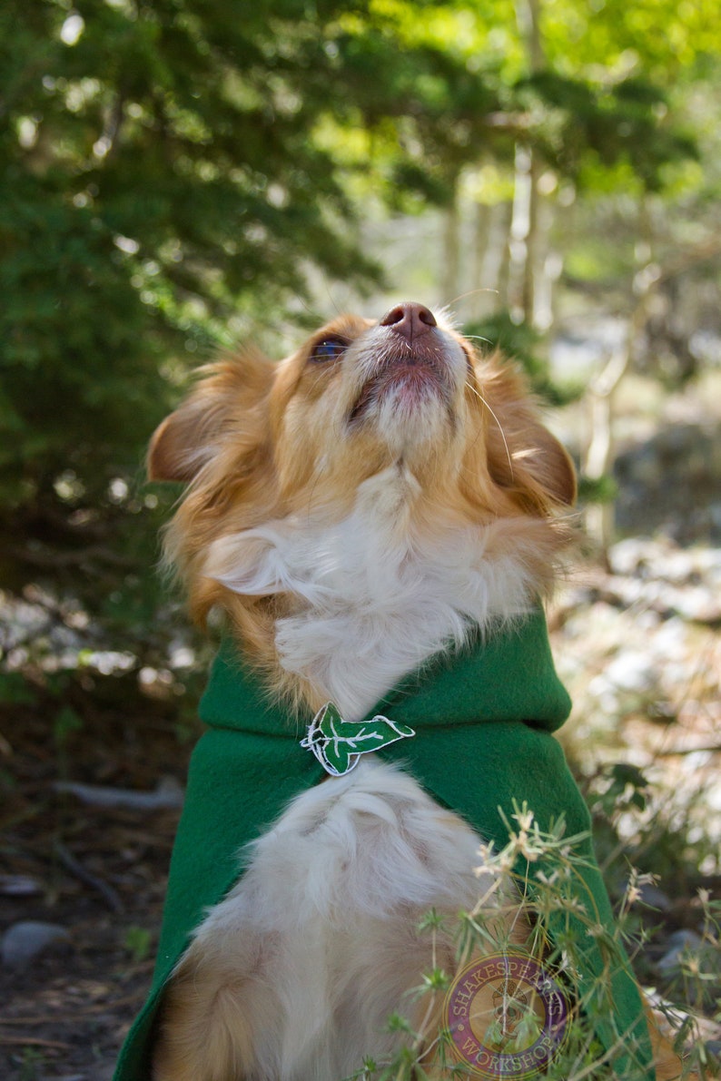Lord of the Rings Inspired Pet Hoods and Capes. Etsy