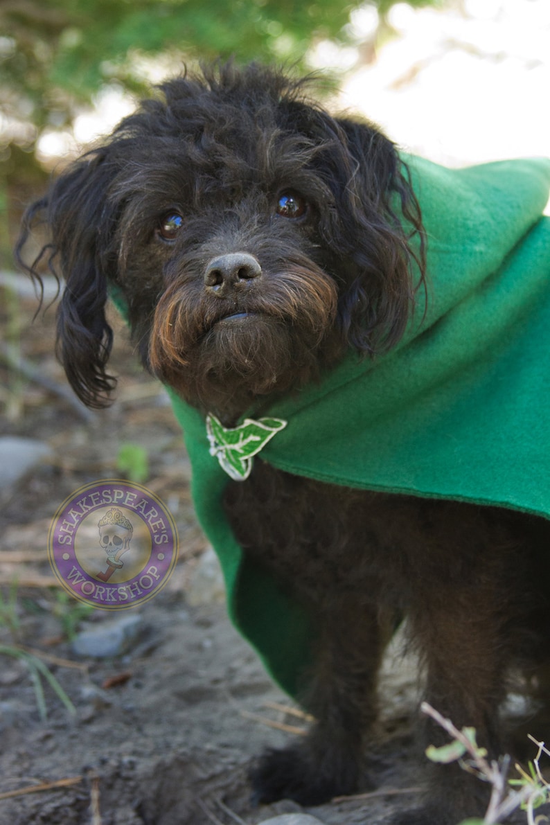 Lord of the Rings Inspired Pet Hoods and Capes. Etsy