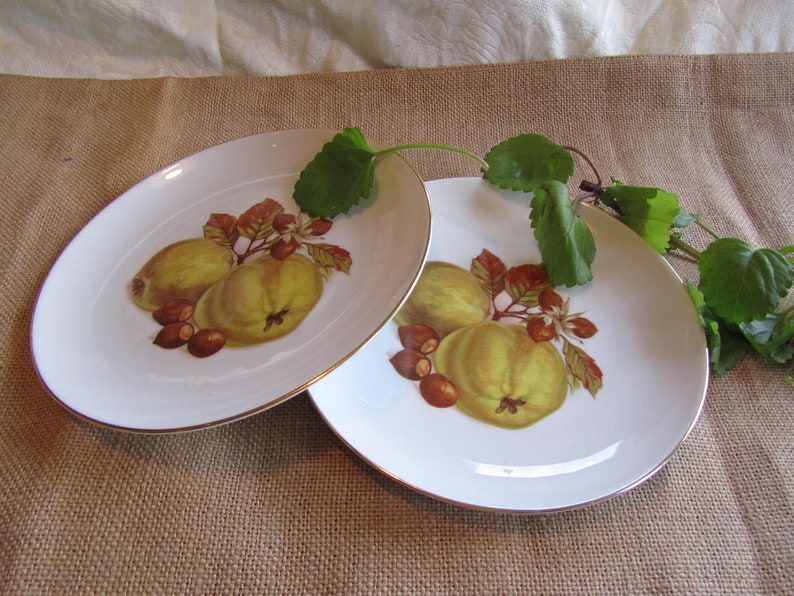 Lovely Hand Painted German Winterling Bavarian Fruit Plate