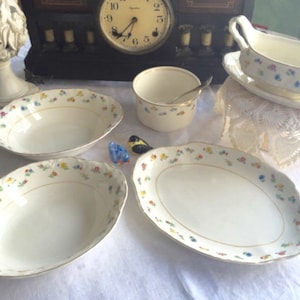 6 Piece W. S. George Radisson Serving Piece Set, Petite Flowers