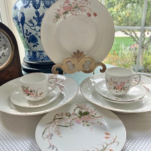 Antique  Limoges France  Porcelain  Set D&Co (Delinieres and Co) 9 pieces, Aesthetic Movement ci. 1879-1890 Pattern #DEI 15 Free  Shipping