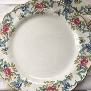 Set of 2 Booth's Floradora Dinner Plates and Platter made in England