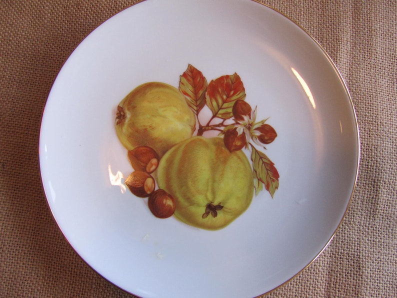 Lovely Hand Painted German Winterling Bavarian Fruit Plate