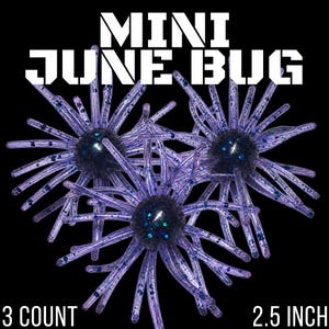 May include: Three purple fishing lures with dark centers and blue glitter accents, arranged in a cluster. The text MINI JUNE BUG is displayed at the top, with 3 COUNT and 2.5 INCH printed at the bottom against a solid black background.