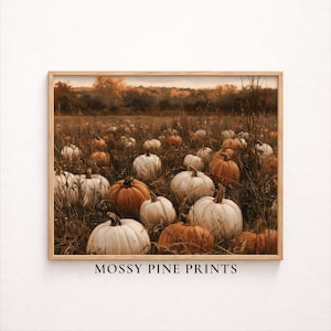 May include: A rectangular wall art print featuring a field of white and orange pumpkins nestled in dry grass with a distant treeline under an autumn sky. The text MOSSY PINE PRINTS is printed in black capital letters at the bottom of the frame.