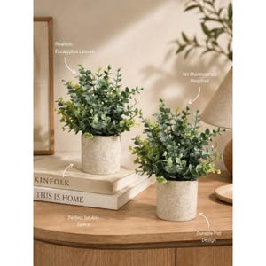 May include: Two artificial eucalyptus plants with green leaves in cylindrical, light-colored, textured pots. The plants are displayed on top of two stacked books with the text KINFOLK and THIS IS HOME visible on the spines of the books.