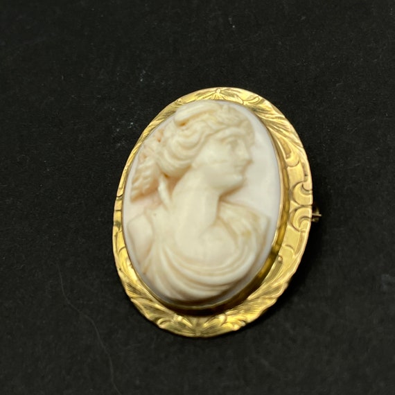 Queen Conch Shell Cameo Brooch/Pendant, Set in 10… - image 1