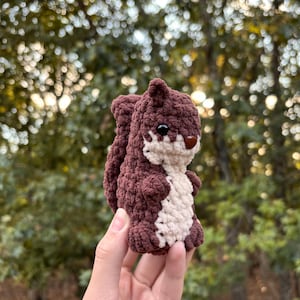 May include: A small, handcrafted crochet squirrel figurine made with dark brown yarn for the body and tail, featuring a cream-colored chest and face. The squirrel has two small black plastic eyes and a single brown plastic nose.