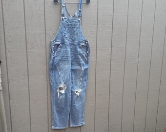 Y2K Arizona Overalls / Large / Distressed / Stretch / Straight Leg