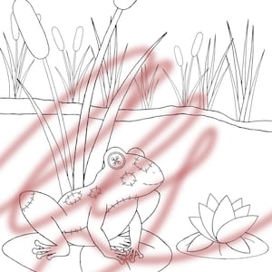 May include: A black and white line art illustration of a stitched frog with a button eye sitting on a lily pad in a pond. The scene includes tall cattails in the background and a water lily to the right, with a translucent red scribble overlay.