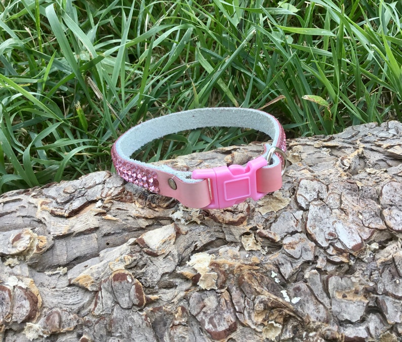 Puede incluir: Collar de perro de cuero rosa con pedrer&iacute;a y hebilla de pl&aacute;stico rosa.