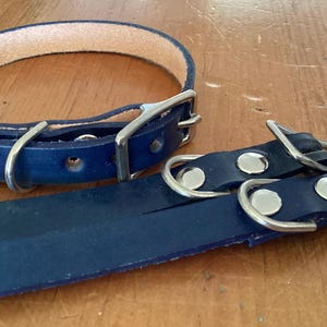 Puede incluir: Dos collares de perro de cuero azul con hebillas plateadas. El collar más grande es de estilo tradicional con una sola hebilla. El collar más pequeño tiene dos hebillas y está diseñado para una correa.