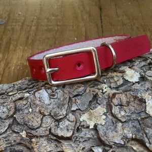 Puede incluir: Un collar de perro de cuero rojo con una hebilla plateada. El collar tiene varios agujeros para ajustar el tama&ntilde;o.