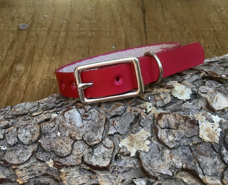 Puede incluir: Un collar de perro de cuero rojo con una hebilla plateada. El collar tiene varios agujeros para ajustar el tama&ntilde;o.