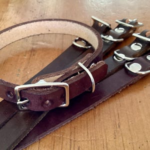 Puede incluir: Tres collares de perro de cuero marrón con hebillas y anillas en D plateadas. Los collares están superpuestos.
