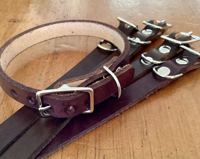 Hand Crafted Leather Pet Collar Dark Brown Dog Cat 10 - 11.5 x 1/2" leash attachment adjustable