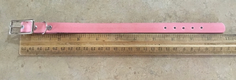 Puede incluir: Un collar de perro de cuero rosa con una hebilla plateada y cinco agujeros. El collar se mide con una regla, mostrando que tiene aproximadamente 25 cm de largo.