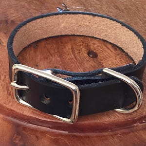 Puede incluir: Un collar de perro de cuero negro con una hebilla y un anillo en D plateados.