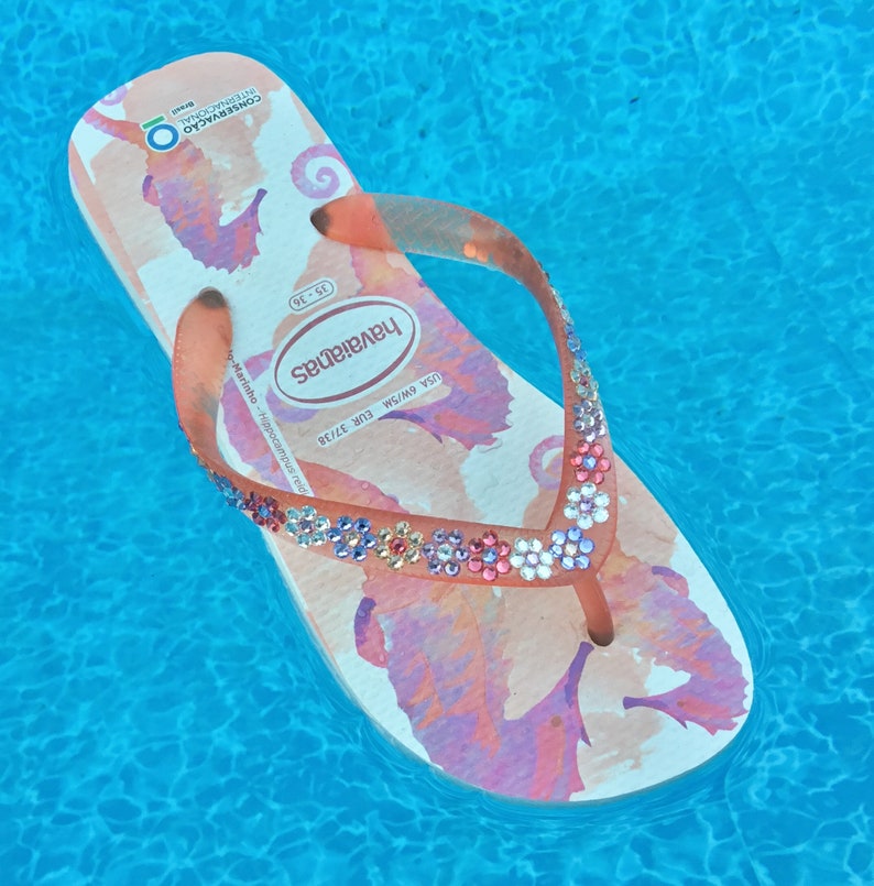 havaianas conservation