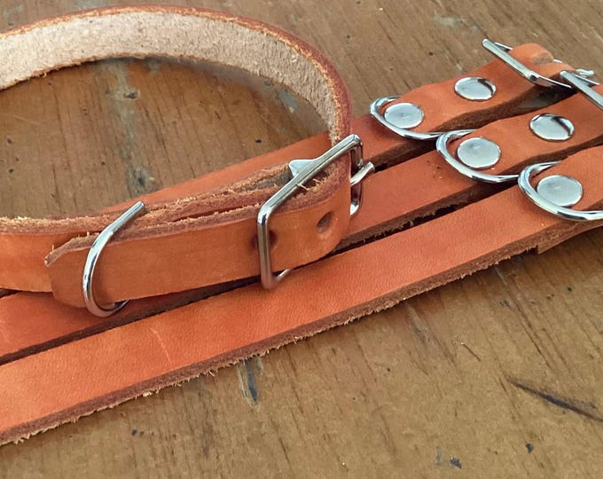 Hand Crafter Leather Pet Collar Distressed Orange Dog Cat 10 - 11.5 x 1/2" leash attachment adjustable