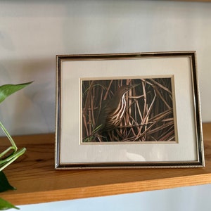 Framed Watercolor Bittern Bird Print