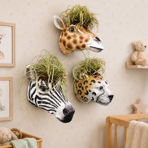 Puede incluir: Tres maceteros de pared con forma de cabeza de animal que representan una jirafa, una cebra y un leopardo. Cada cabeza tiene una sección superior hueca con plantas verdes puntiagudas. Las cabezas están pintadas con patrones realistas.