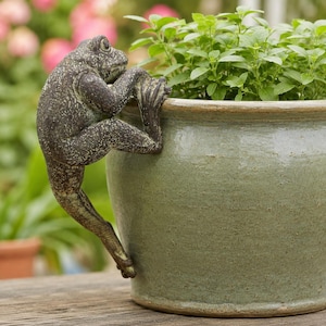 May include: A dark bronze-colored frog figurine with a textured, weathered finish is perched on the rim of a round, light green glazed ceramic planter. The planter contains a vibrant green leafy plant with small, rounded foliage.