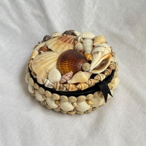 May include: A round decorative box covered in a variety of natural seashells in shades of tan, cream, and brown. The lid and sides are densely layered with small and medium-sized shells, featuring a small black ribbon tab attached to the side.