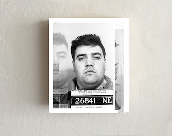 Lenticular Mugshot: VINCENT GIGANTE