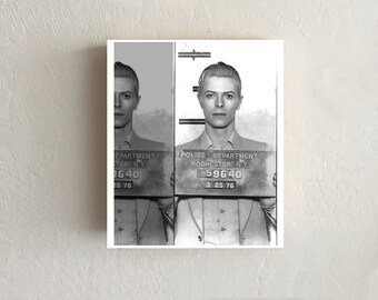 MUSICIANS MUGSHOTS!  David Bowie