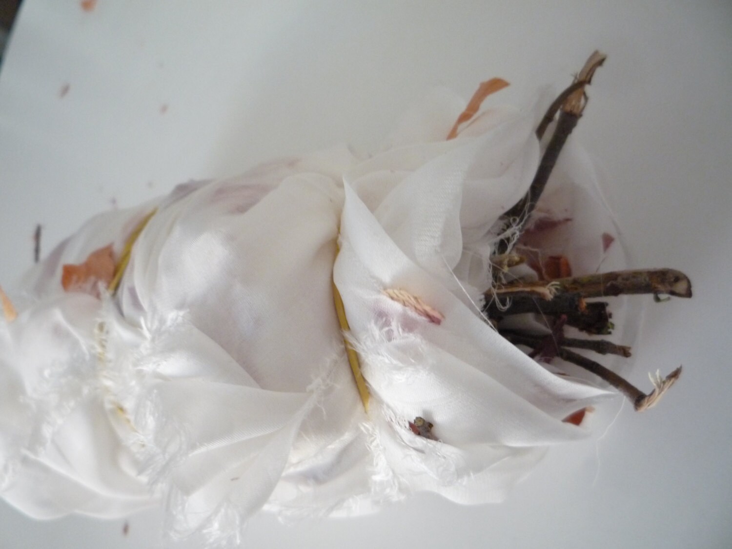 PDF Tutorial. Onion Skins Eco Print on silk.Eco Print. Dyeing Etsy