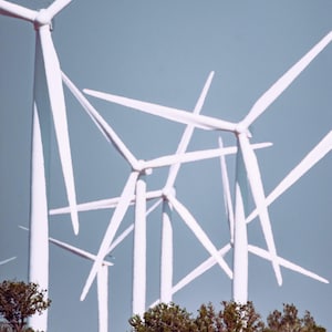 May include: Multiple large white wind turbines with three blades each stand tall against a clear light blue sky. The base of the turbines is partially obscured by green trees and shrubs, showing the scale of the energy infrastructure.